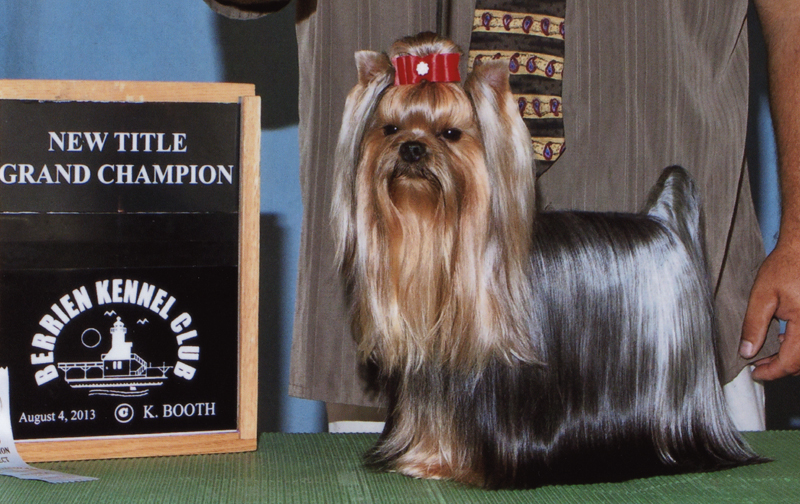 Grand Champion Artistry's Cole Train